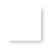 孔雀东南飞为什么是东南枝,孔雀东南飞为什么出名