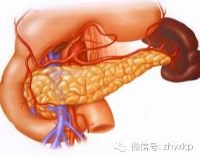 急性胰腺炎发病原因,胰腺炎急性慢性区别