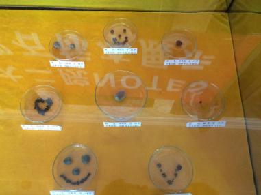 notes手术弊端,notes妇科手术模拟