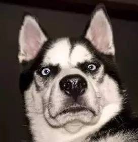 关于王宝强离婚案的情况,王宝强离婚案现在怎么样了