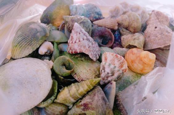 中国涠洲岛火山岛,带你去中国最年轻火山岛看一看