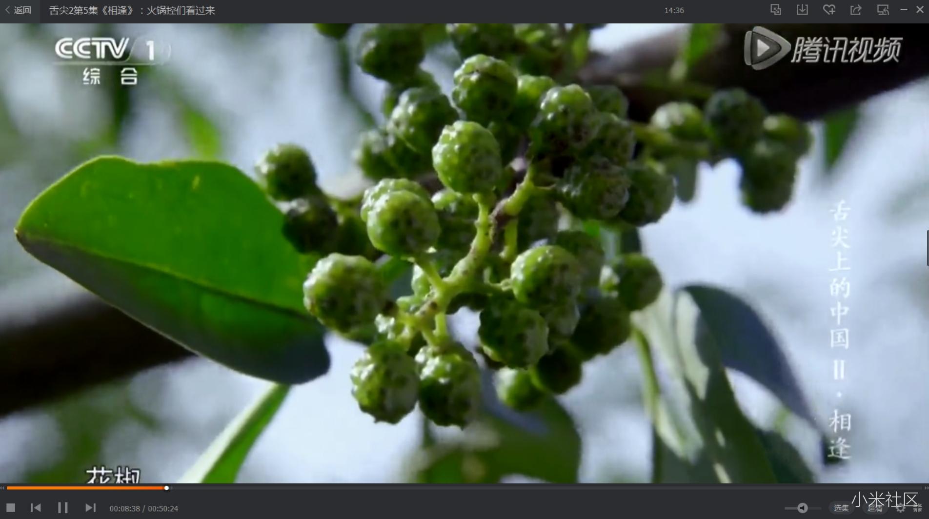 小米笔记本电脑和苹果系统,小米笔记本和苹果macbook