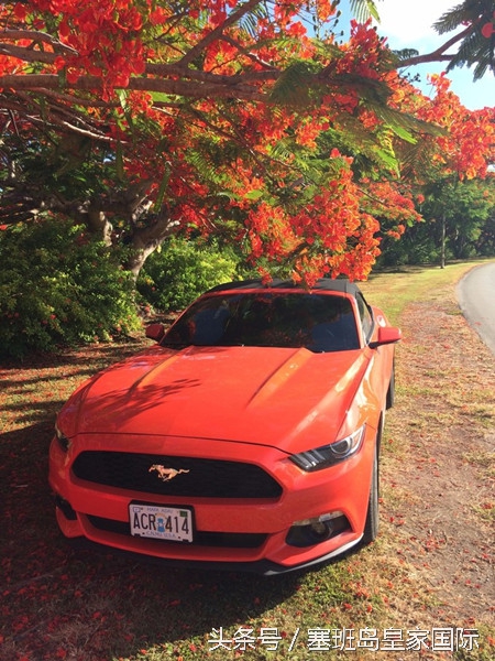 塞班岛自驾跑车游玩攻略,塞班岛自驾游最佳攻略