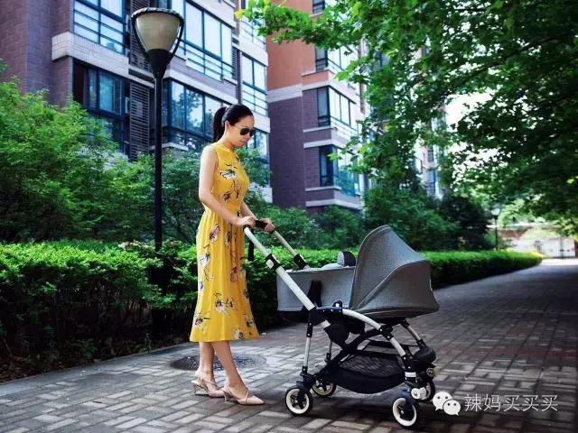 stokkexplory,stokkexplory和bugaboobee哪个好