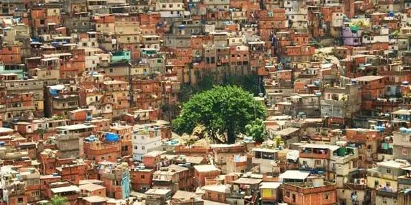 巴西贫民窟现在有毒品交易吗,巴西贫民窟真实毒品