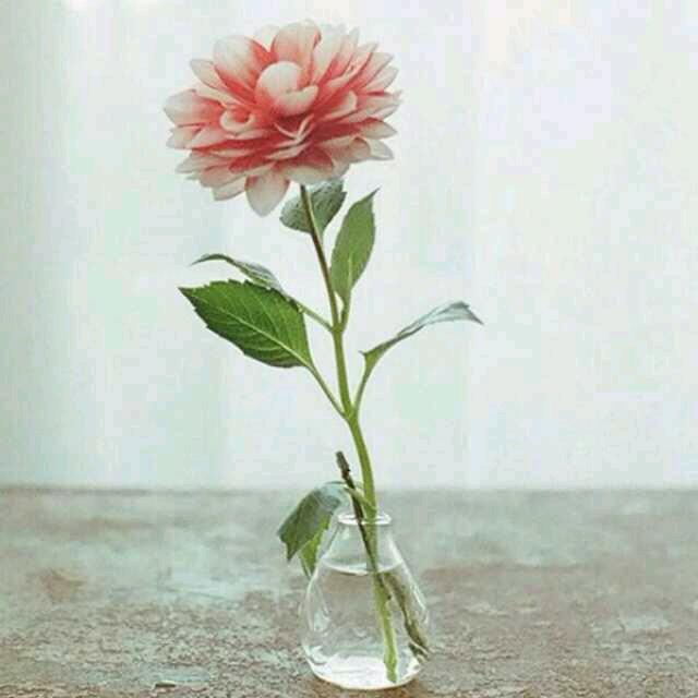 怎么可以改掉公主病,如何改掉公主病的坏脾气