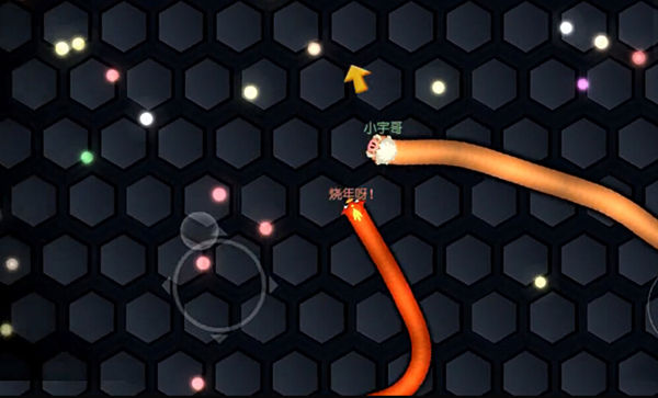 虫虫大作战198,虫虫大作战各种虫子