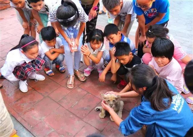 这个夜晚不平凡,从此注定不平凡