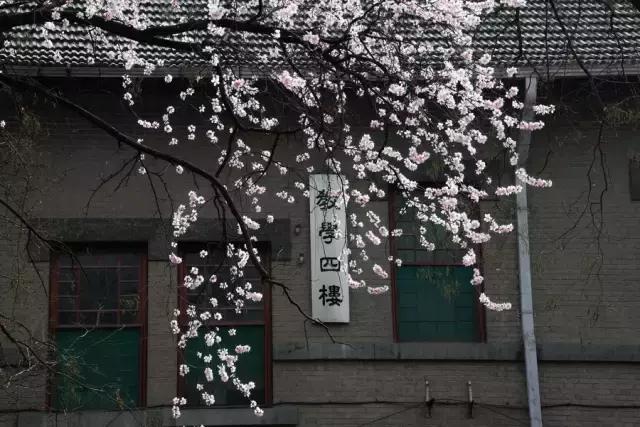 资讯元宵节,趵突泉校区