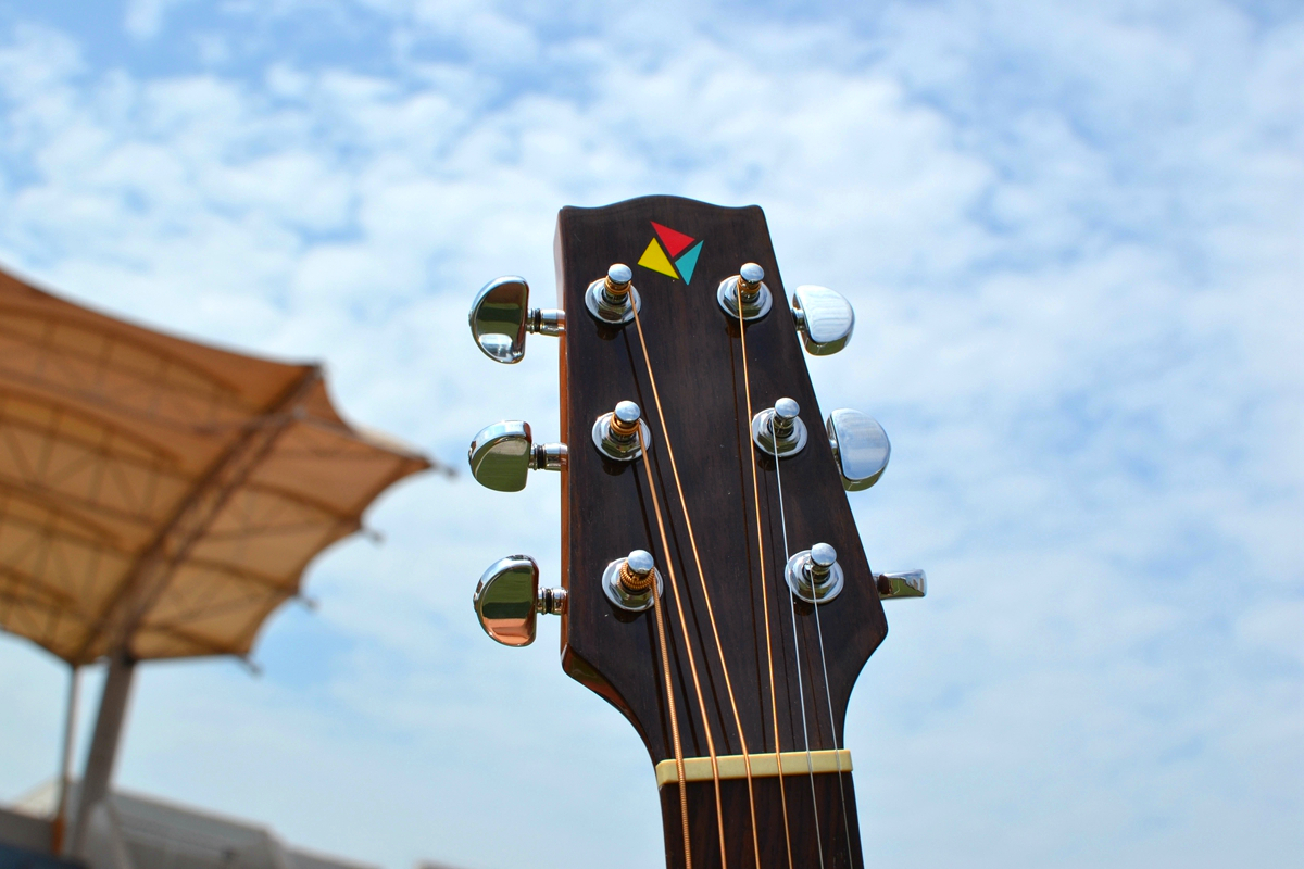 有声有色，久弹不累：乐果D10，吉他初学者的明智之选