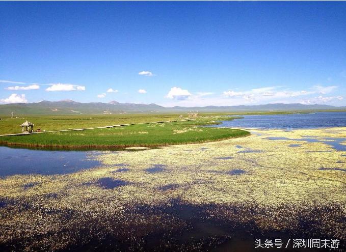 阿坝州川西北大草原,川西北若尔盖地区