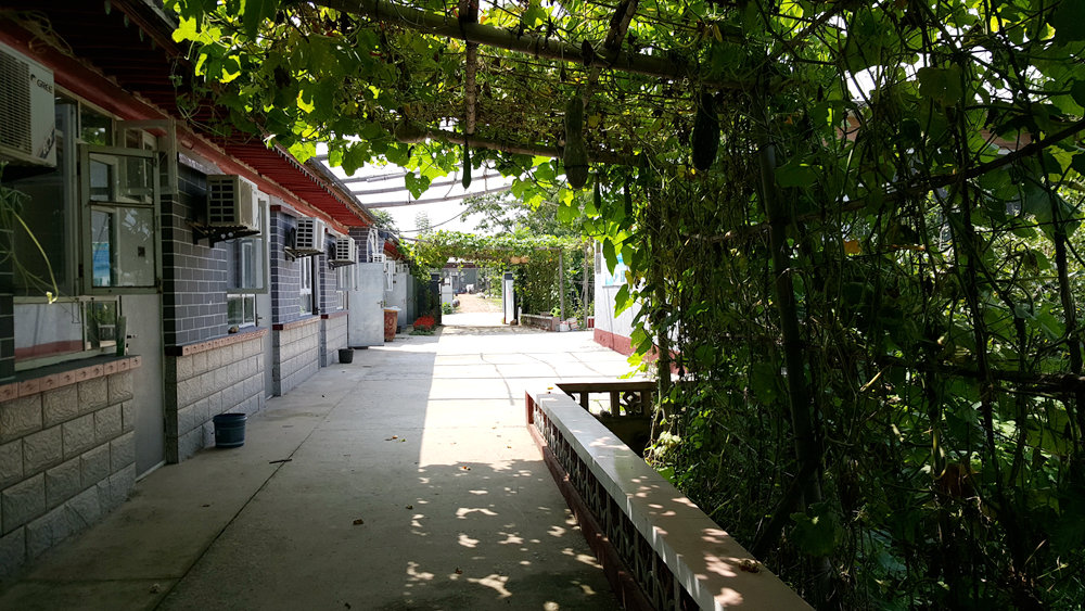 乐亭碧海渔家,乐亭碧海渔家怎么样