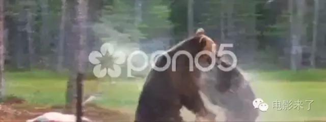 陆垚知马俐备胎转正,陆垚知马俐最后啥意思