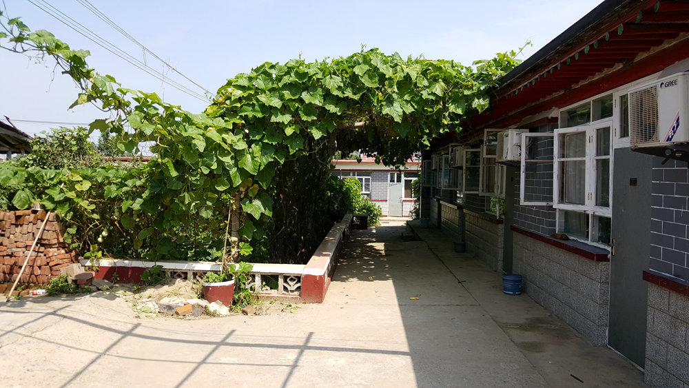 乐亭碧海渔家,乐亭碧海渔家怎么样