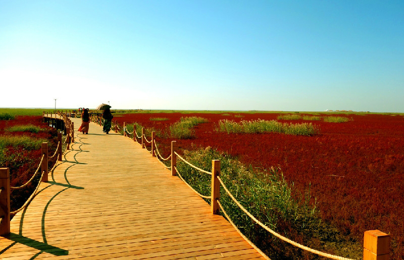 自驾去盘锦红海滩旅游线路,辽宁盘锦红海滩旅游攻略一日游