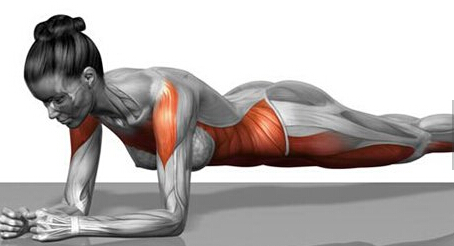 平板支撑的时候腰酸痛是怎么回事,平板支撑腰疼怎么办