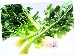 吃刺激性的食物总放屁怎么办,吃凉食物放屁多是怎么回事