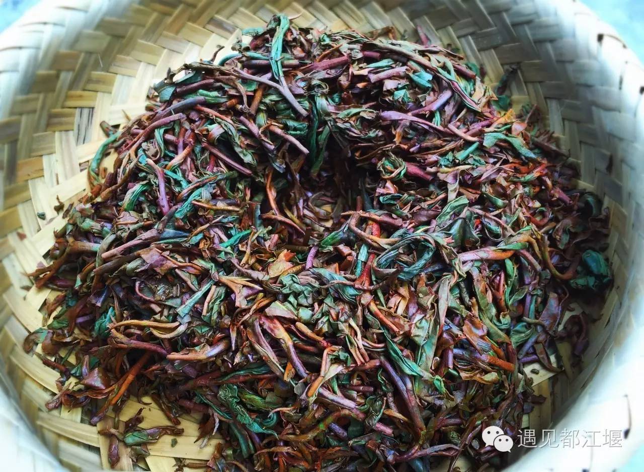 白鹭湾什么样,白鹭湾现在什么样子