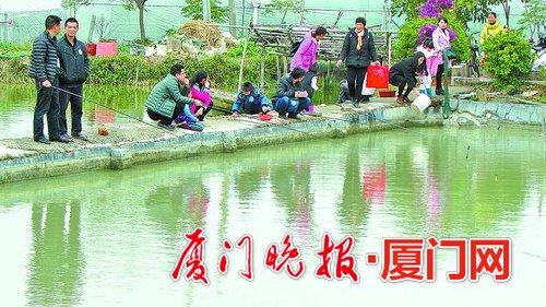 蟹肥鱼美尽情尝,蟹肥鱼鲜