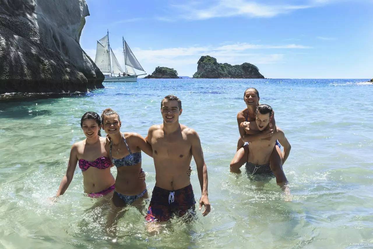 老中医蜂蜜系列,老中医生姜蜂蜜