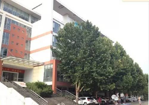 武汉卓尔球迷海报,球迷高喊永不放弃