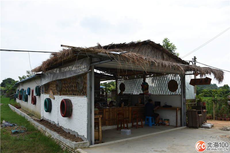 周末去哪儿玩？小编带你去合浦七里香茶庄园和石康镇“小村故事”