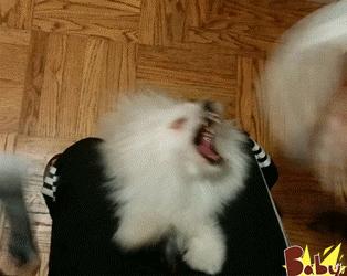 怕痒的男人有什么说法,怕痒的男人疼