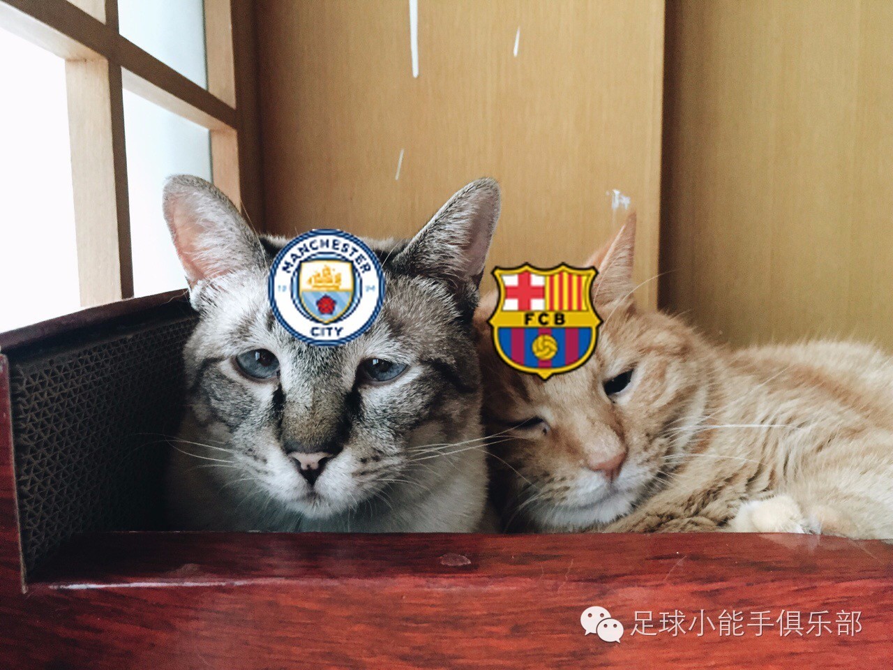 皇马vs拜仁16-17安切洛蒂,欧冠抽签拜仁球员反应