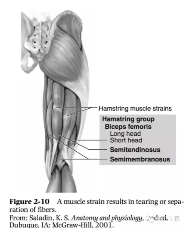 膝盖受伤一般要多久才能恢复,腿膝盖软组织受伤多久会好