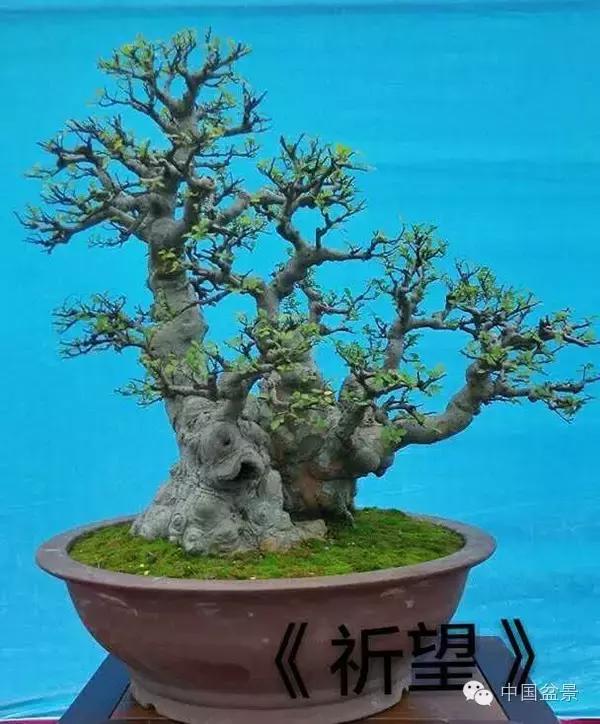 相识满天下知己有几人谁说的,相识满天下知己无一人出处