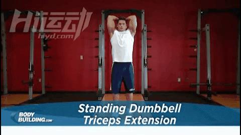 哑铃天天练还是隔天练增肌效果好,哑铃全身增肌锻炼最全完整版