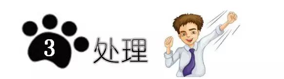 检察院的反贪局是如何抓贪官的？你想知道的都在这