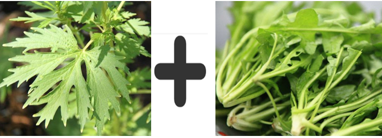 女孩功血的最佳治疗方法,女性补气益血食疗