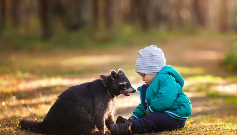 虐待小动物触犯的法律,宝宝虐待小动物怎么办