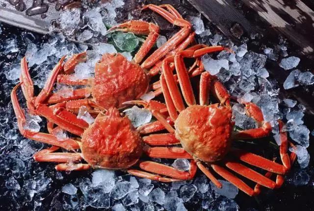 谁是吃螃蟹的第一人,谁是第一个螃蟹