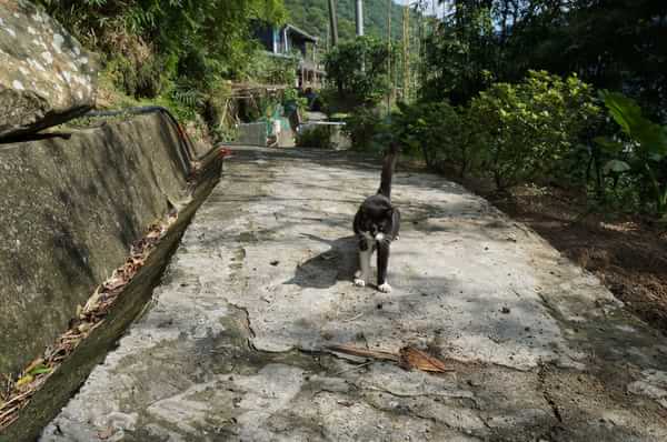 在台湾流浪14天~火星人的环岛路线！