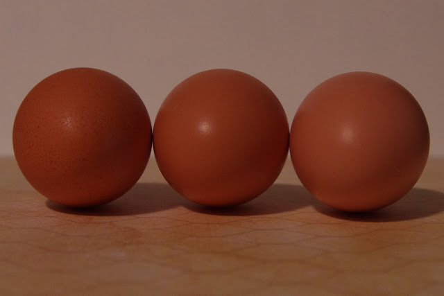 鸡能下几种颜色的鸡蛋,鸡蛋的颜色和鸡的品种有关