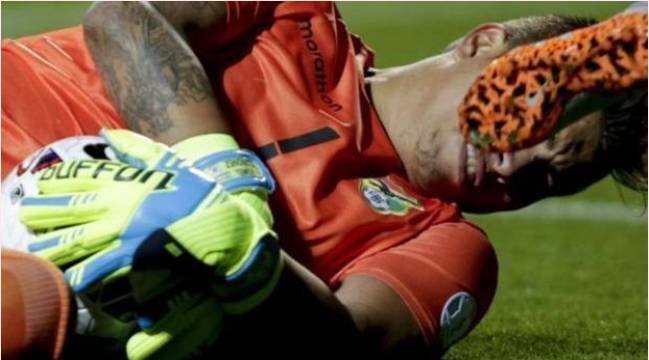 gloves守门员手套,glove的故事