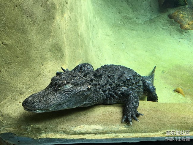 三星a9s深度解析,颜值和性能并存安卓机