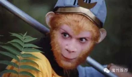 一眼识破电视剧,煮妇神探一口气看完