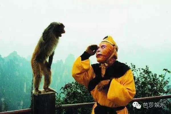 猴哥千年等一回,猴哥我等你好久