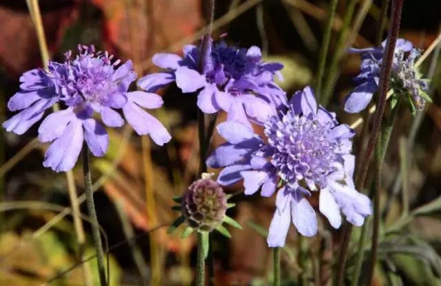 吴承恩为了什么要写西游记,吴承恩在哪里写西游记的