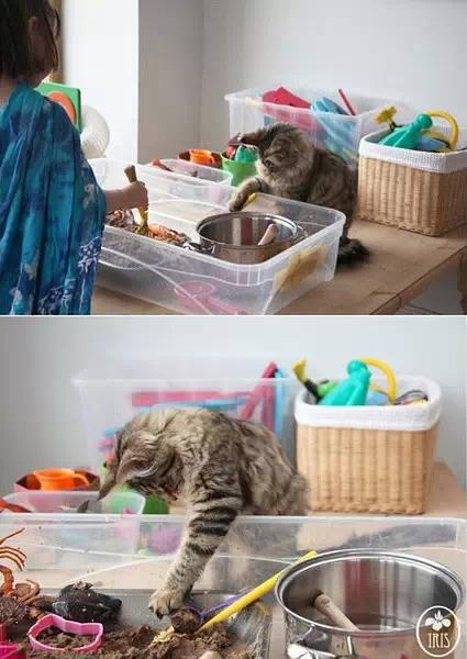 绘画对儿童情商培养的积极作用,绘画对自闭症儿童的治愈效果