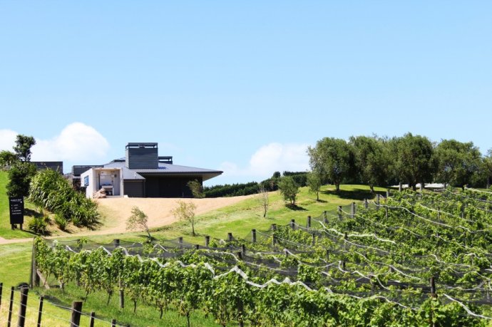 到怀希基岛,品酒-看海