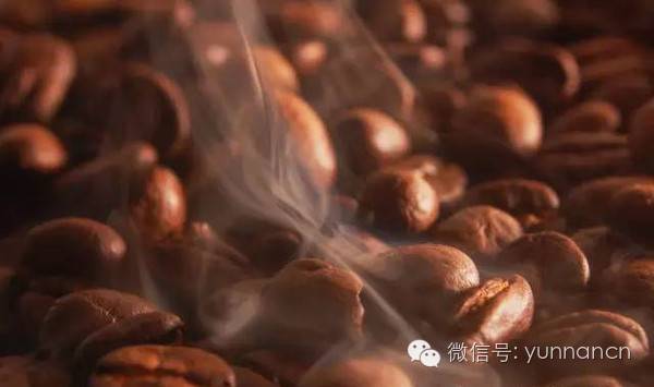 云南农大冷门专业,云南农业大学喝咖啡专业