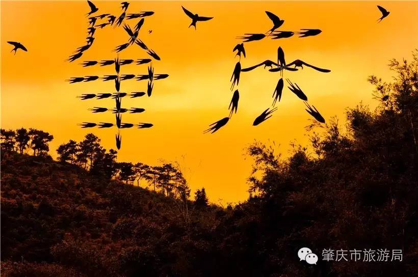 广东肇庆地区风水宝地视频,肇庆天骄御景风水宝地