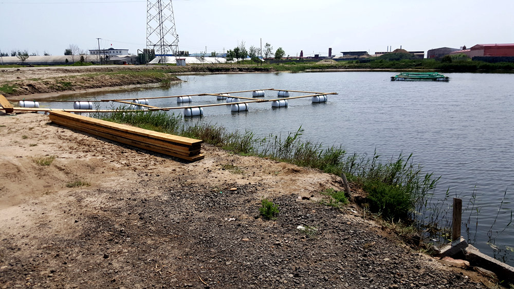 乐亭碧海渔家,乐亭碧海渔家怎么样