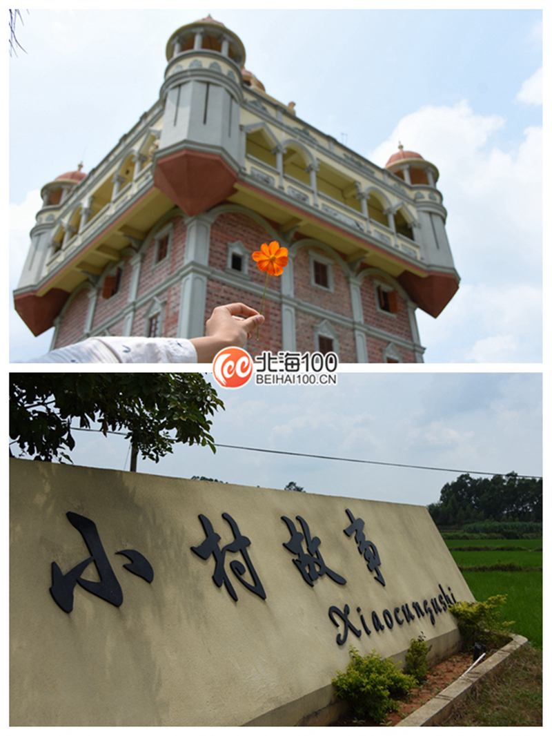 周末去哪儿玩？小编带你去合浦七里香茶庄园和石康镇“小村故事”