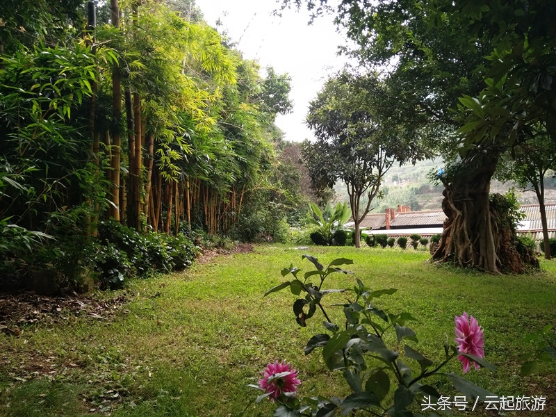 华宁象鼻温泉山庄住宿价格,华宁象鼻温泉露天泡池电话