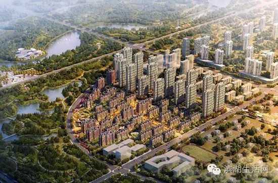 学区大还是片区大,滨湖新区哪个学区好